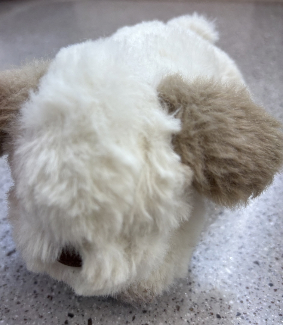 강아지 미니 가방걸이