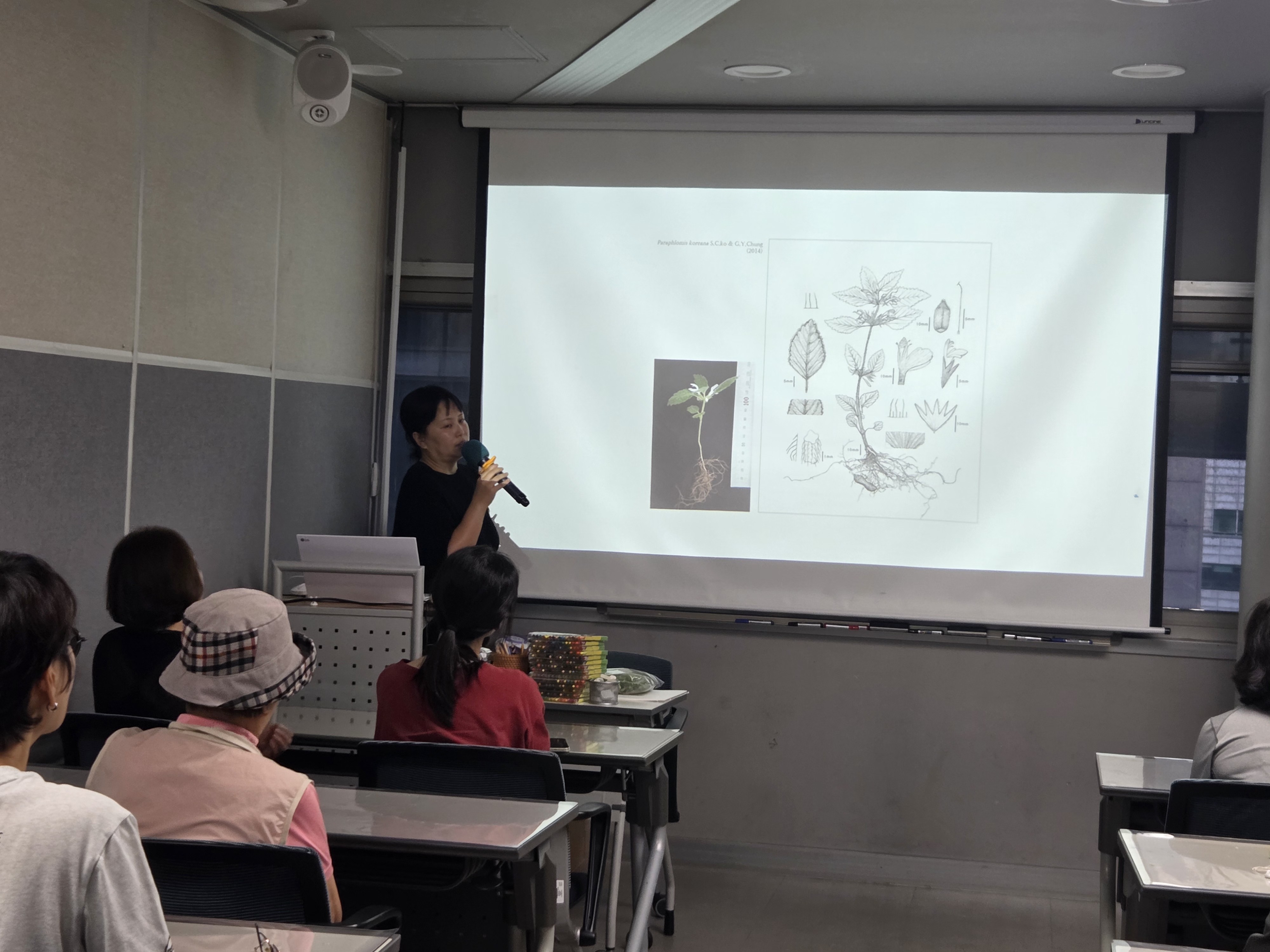 [강일] 식물세밀화그리기 1번째 이미지