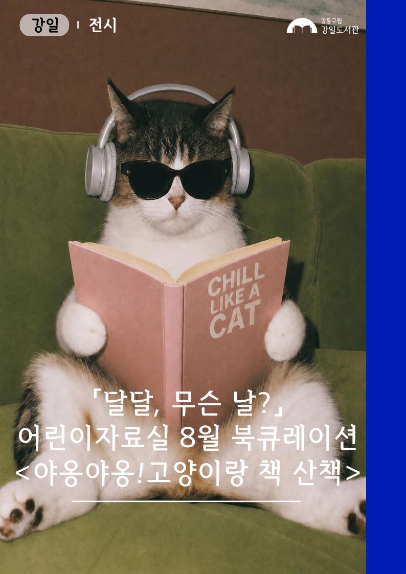 야옹야옹! 고양이랑 책 산책