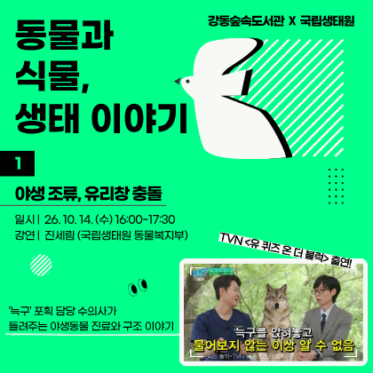 [국립생태원 연계 프로그램] 동물과 식물, 생태이야기 ① 야생조류, 유리창 충돌