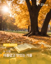 아름답고 맛있는 가을