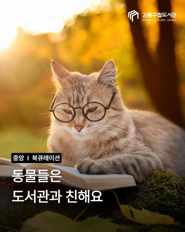 동물들은 도서관과 친해요