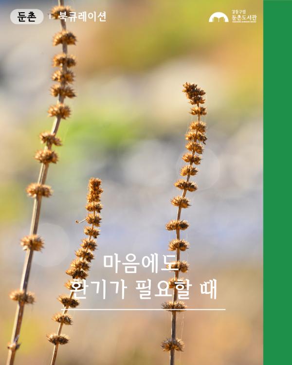 26년 9-10월 치유서재