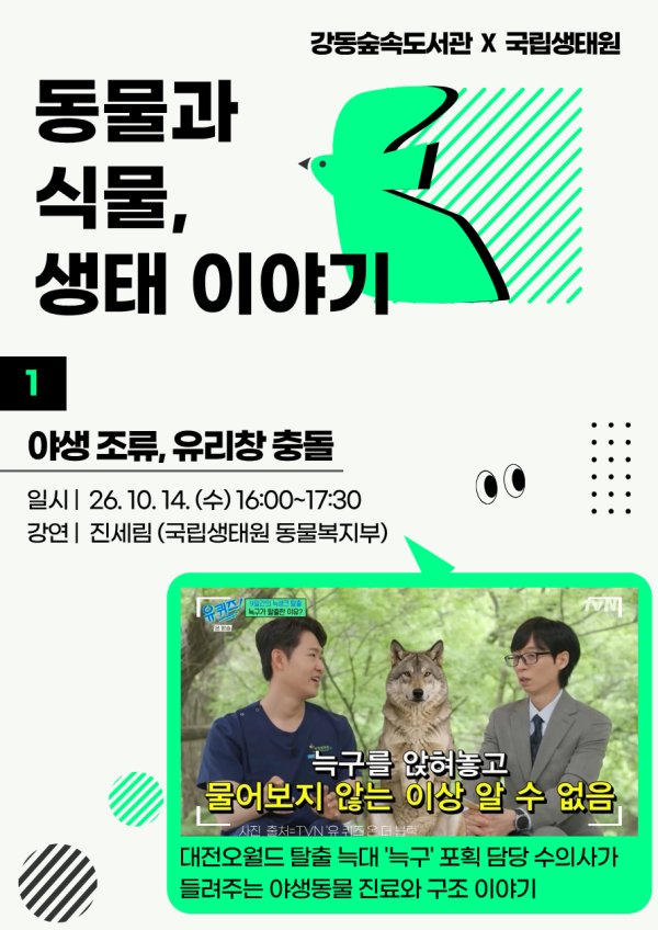 [국립생태원 연계 프로그램] 동물과 식물, 생태이야기 ① 야생조류, 유리창 충돌
